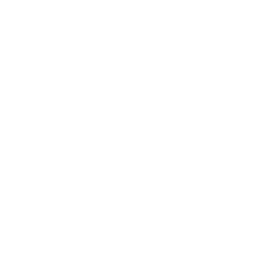 blank